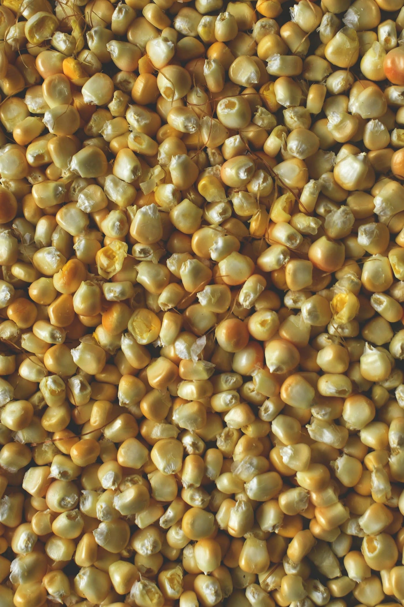 Harina de maíz 1 kg